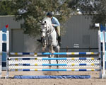 T_Jumper-4.jpg